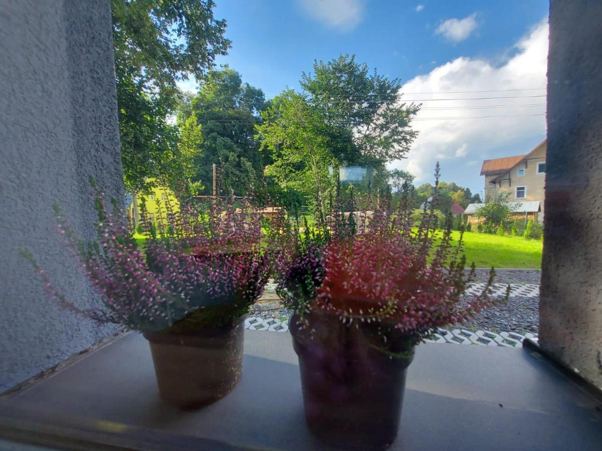 Vila Bryziowka B Miłków Exteriér fotografie
